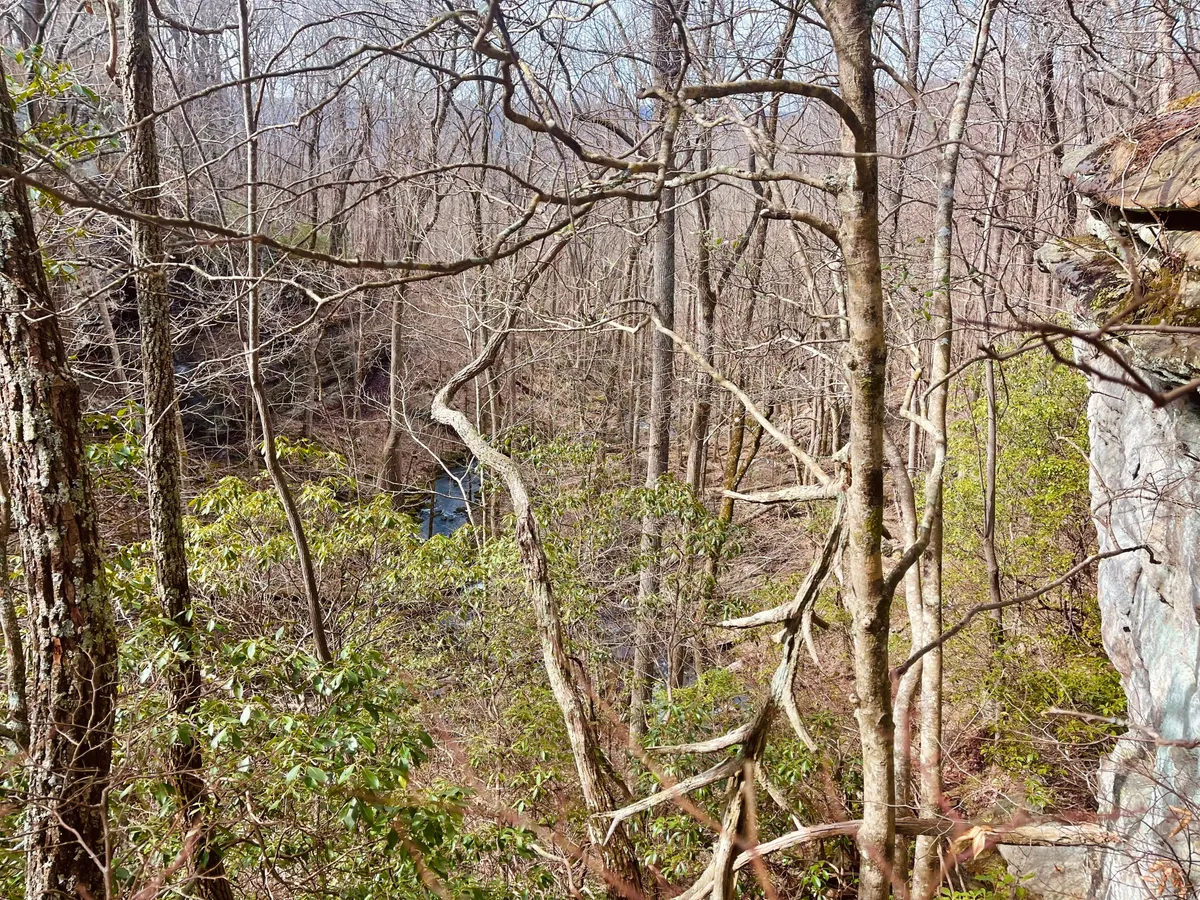 The photo showcases a rugged, rocky outcrop leading down to a stream, framed by bare trees. The natural setting invites thoughts of exploration, hiking, and encountering tranquil spots along the trail.